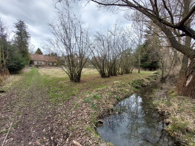 Prodej, Zahrada, Kořenice