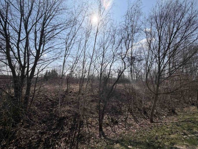 Prodej, Ostatní, Litvínov