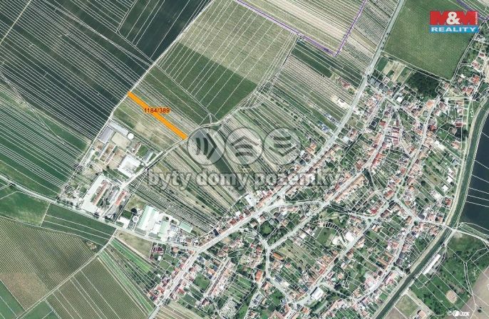 Prodej, Vinice, Týnec