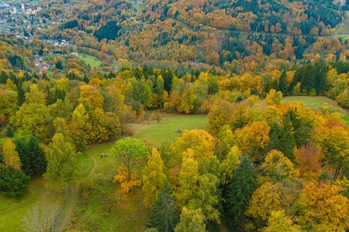 Prodej, Louka, Tanvald