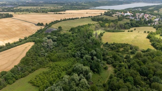 Prodej, Louka, Chabařovice