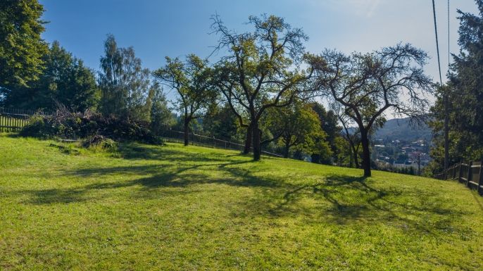 Prodej, Pozemek k bydlení, Dolní Poustevna