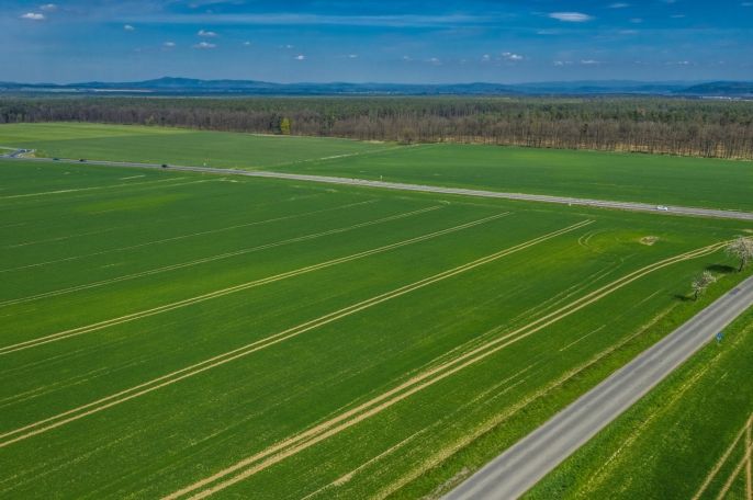 Prodej, Pole, Čistá