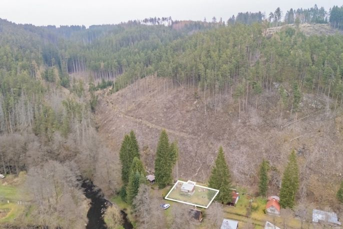 Prodej, Chata, Planá