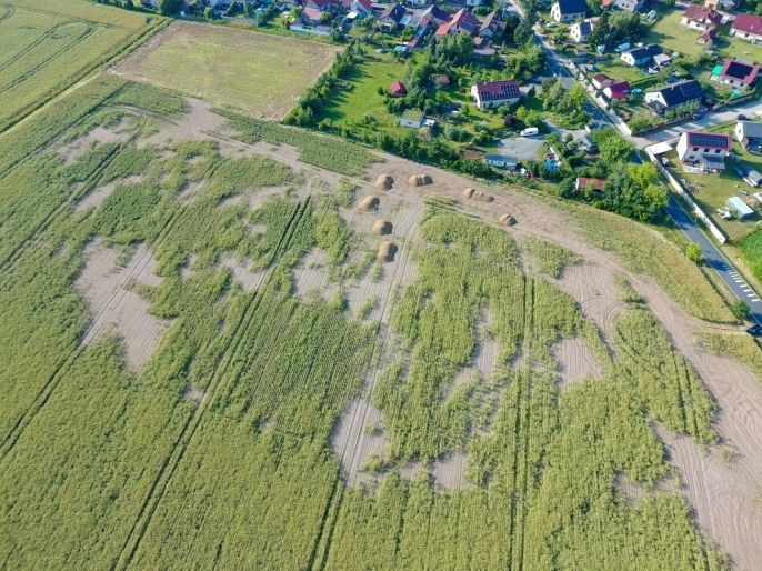 Prodej, Pole, Ratenice
