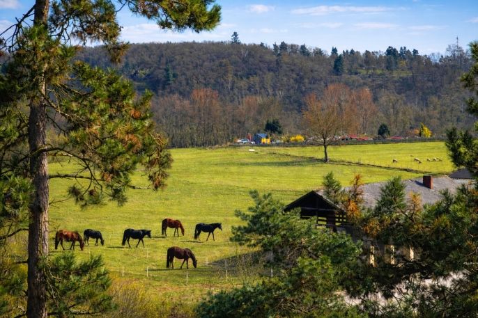 Pronájem, Byt 2+kk, Praha