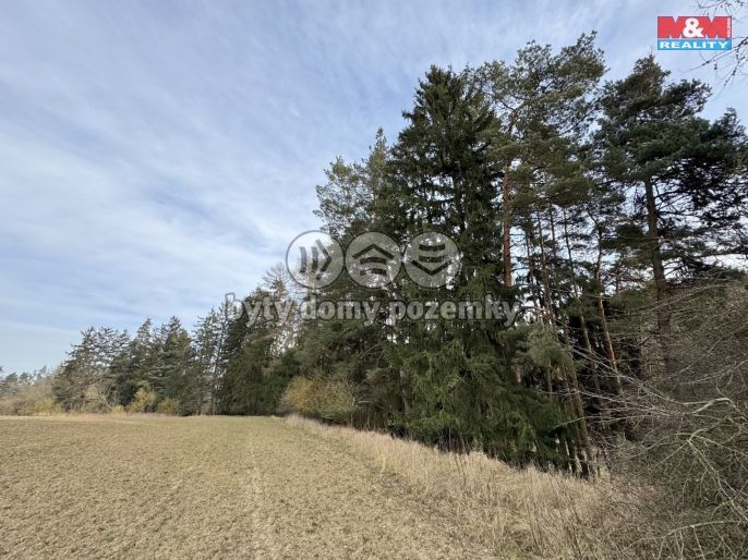 Prodej, Chalupa, Trhový Štěpánov