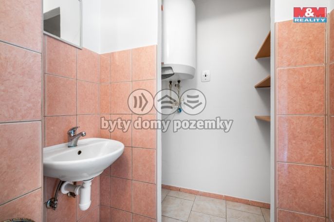 Prodej, Byt 3+1, Srby