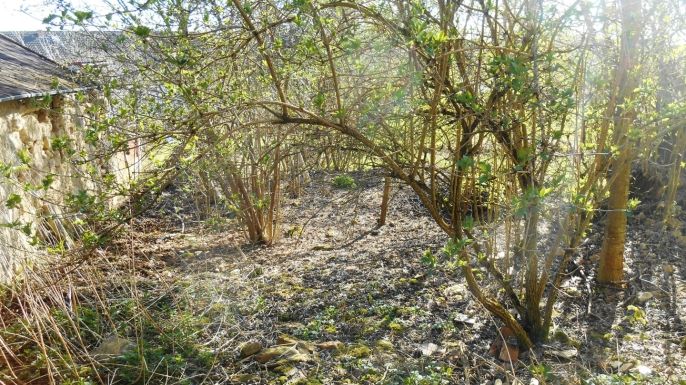 Prodej, Zahrada, Úštěk