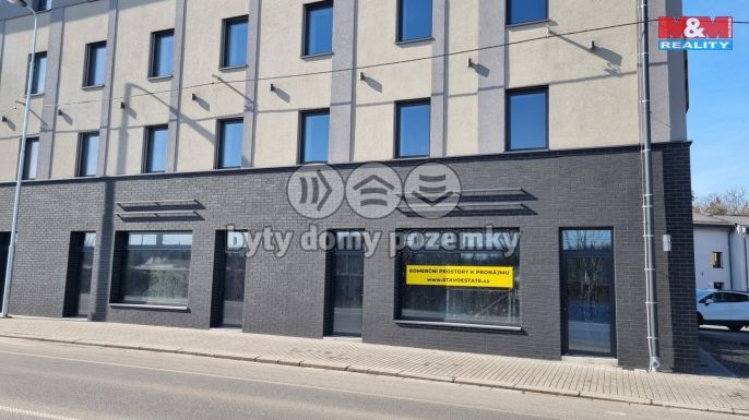 Pronájem, Obchod a služby, Český Těšín