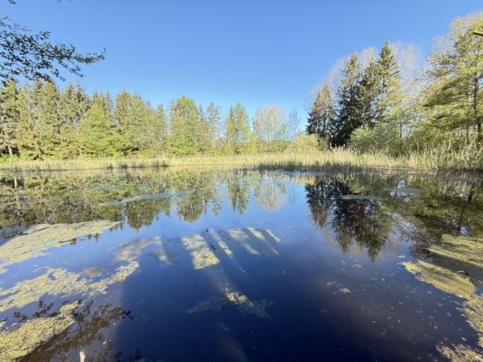 Prodej, Vodní plocha, Rychnov nad Kněžnou