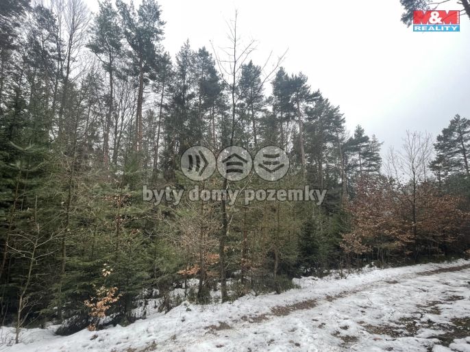 Prodej, Les, Záhoří