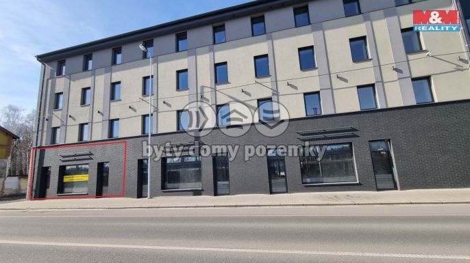 Pronájem, Obchod a služby, Český Těšín