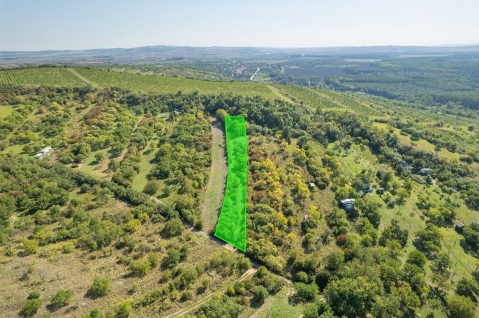 Prodej, Zahrada, Židlochovice