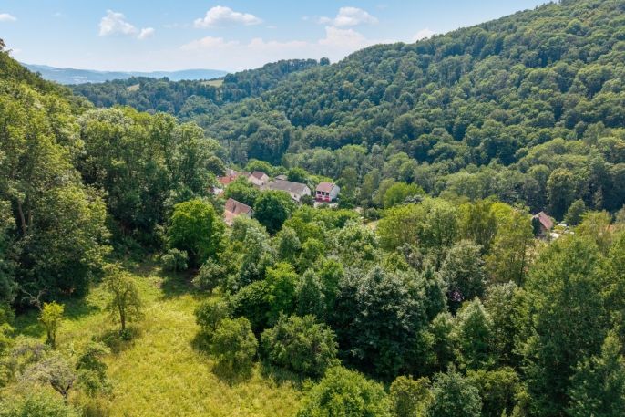 Prodej, Zahrada, Ryjice