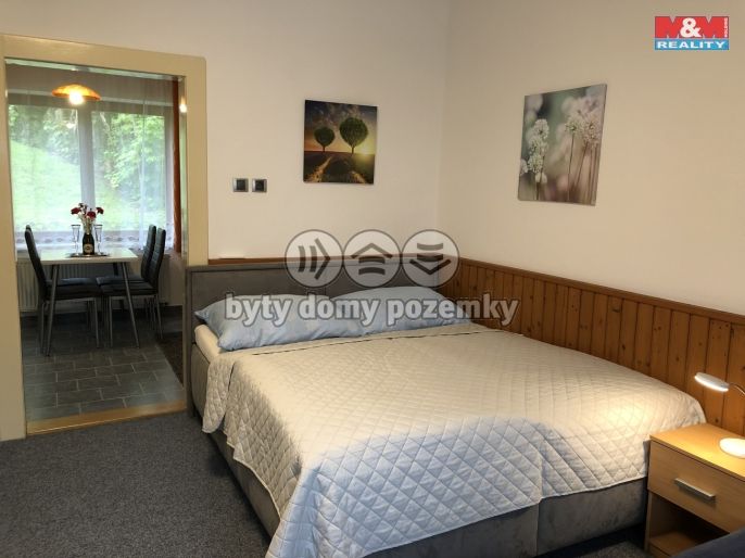 Prodej, Hotel, penzion, Česká Skalice