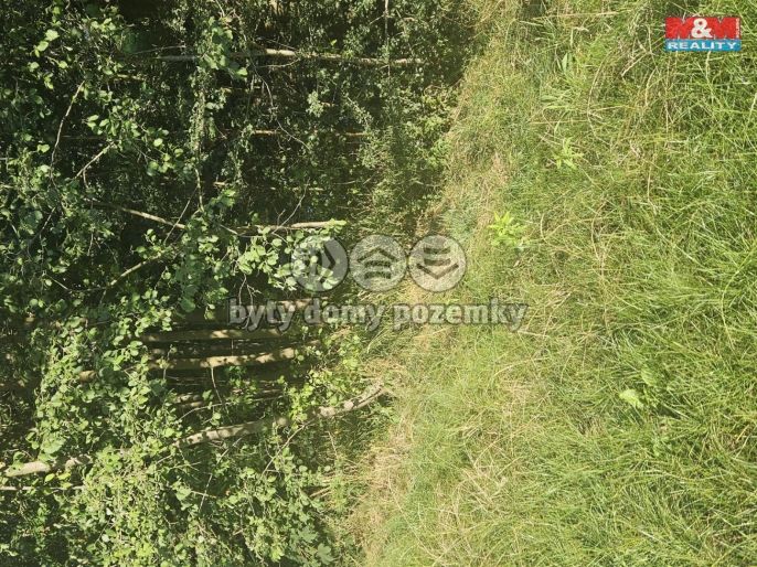 Prodej, Pole, Bystřice