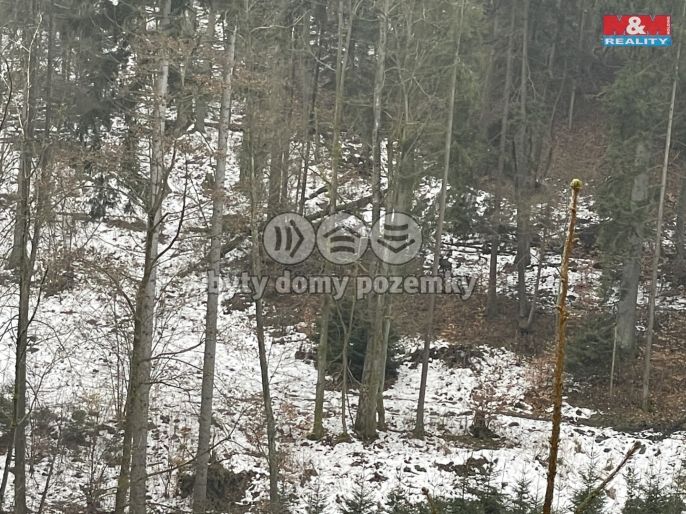 Prodej, Les, Záhoří