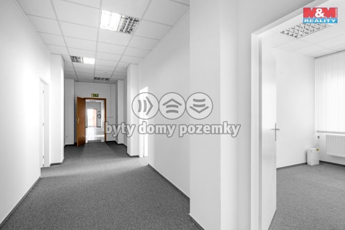 Pronájem, Kancelářský prostor, Lichoceves