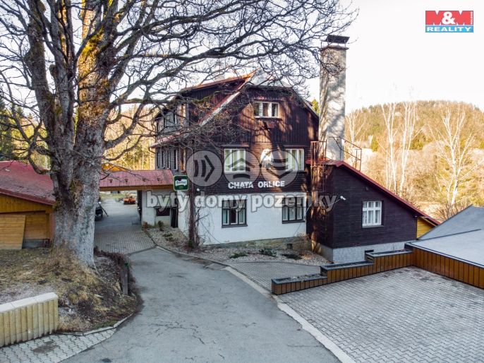 Prodej, Hotel, penzion, Bartošovice v Orlických horách
