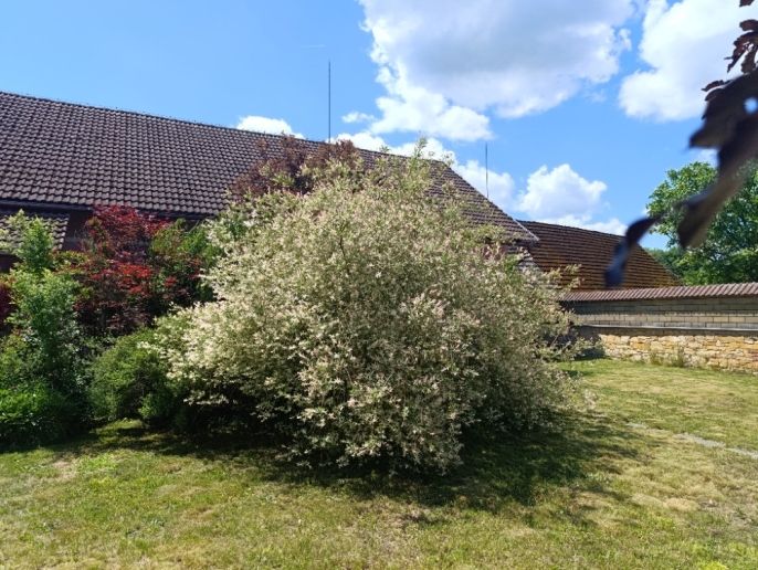 Prodej, Rodinný dům, Hřibiny-Ledská