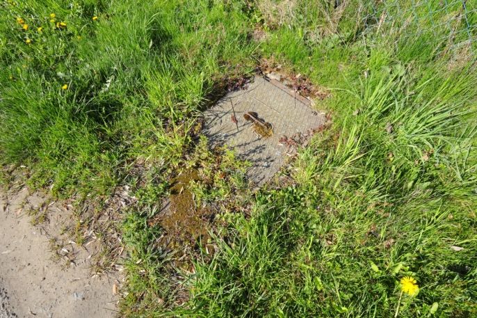 Prodej, Pozemek k bydlení, Nová Ves u Chotěboře