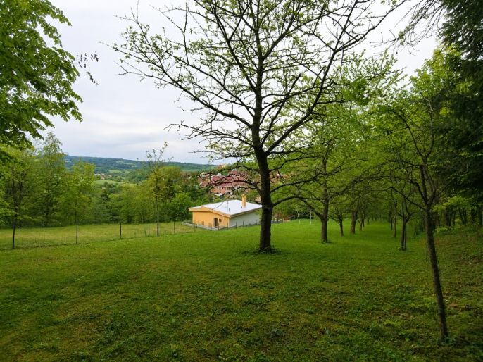 Prodej, Zahrada, Tišnov
