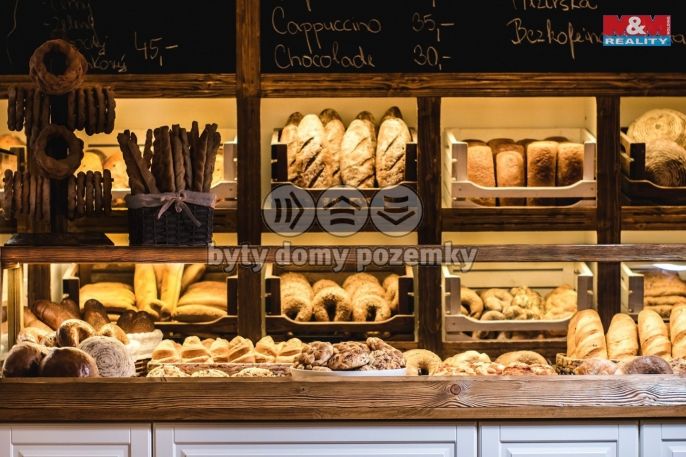 Pronájem, Obchodní objekt, Třemošná