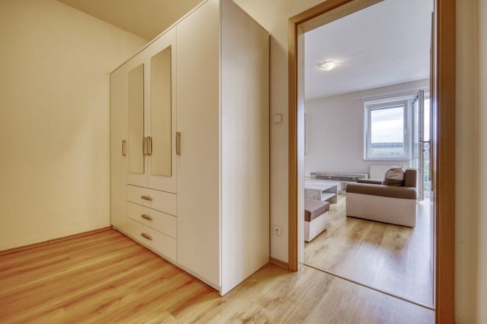 Pronájem, Byt 1+kk, Plasy