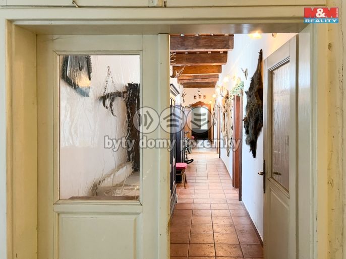 Pronájem, Restaurace, stravování, Železná Ruda