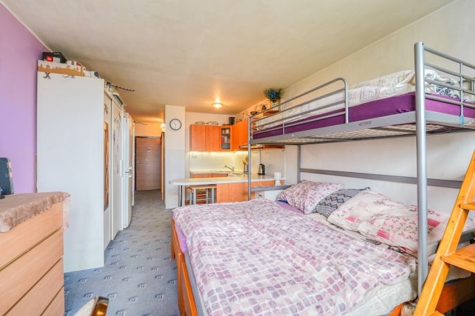 Prodej, Byt 1+kk, Praha