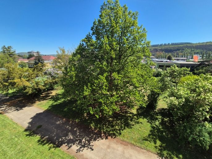 Pronájem, Byt 2+1, Beroun