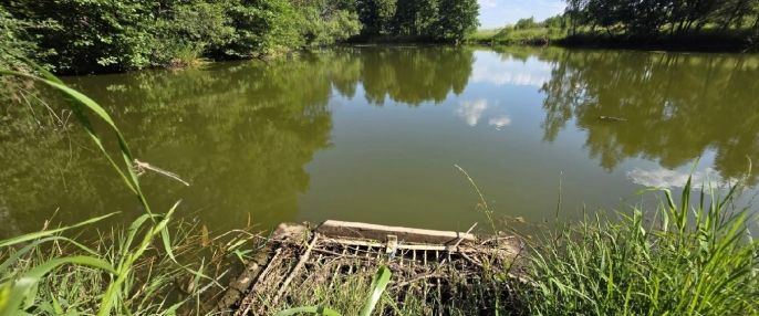 Prodej, Vodní plocha, Slezské Rudoltice