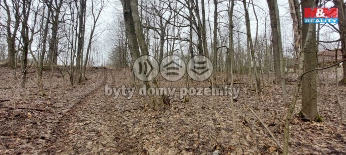 Prodej, Provozní plocha, Budišov nad Budišovkou