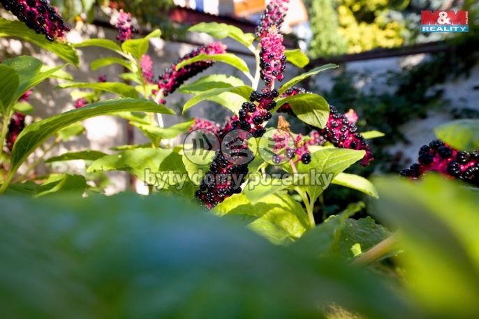 Prodej, Rodinný dům, Lovosice