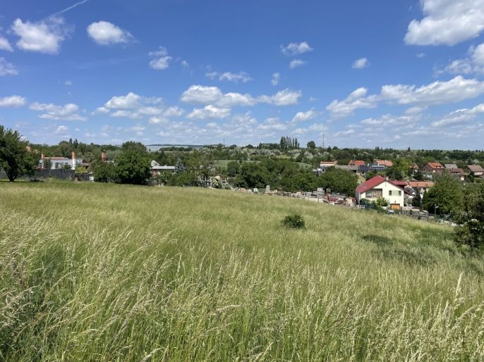 Prodej, Pozemek k bydlení, Holubice