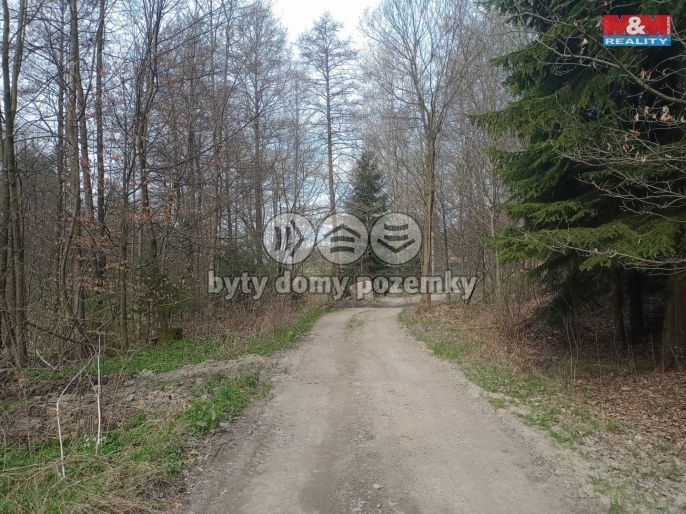 Prodej, Louka, Kořenov