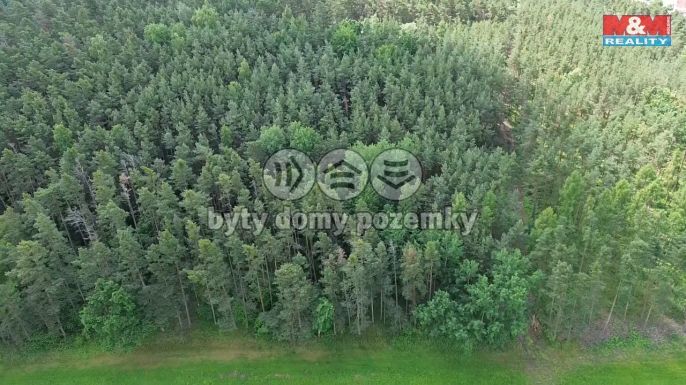 Prodej, Les, Chotilsko