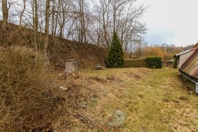 Prodej, Chata, Velké Losiny