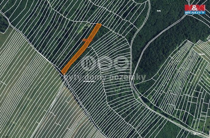 Prodej, Les, Horní Bojanovice