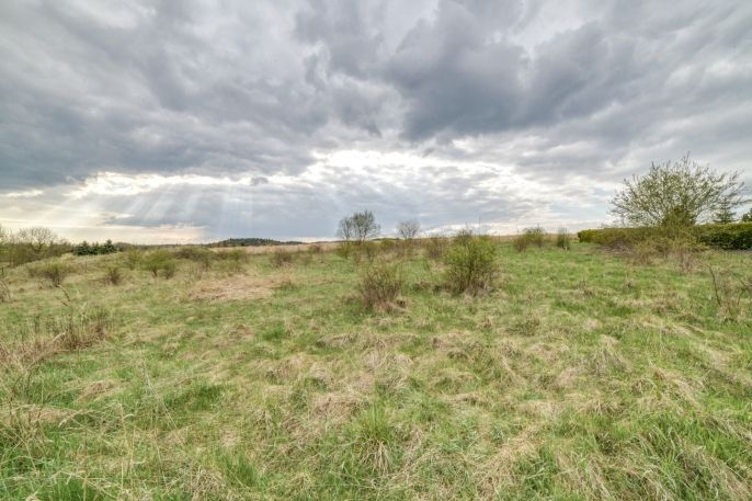 Prodej, Pozemek k bydlení, Františkovy Lázně