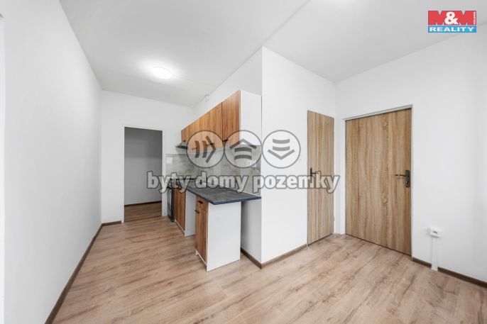 Prodej, Byt 3+1, Most