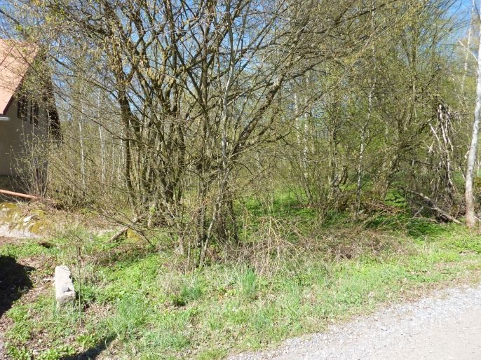 Prodej, Pozemek k bydlení, Brzice