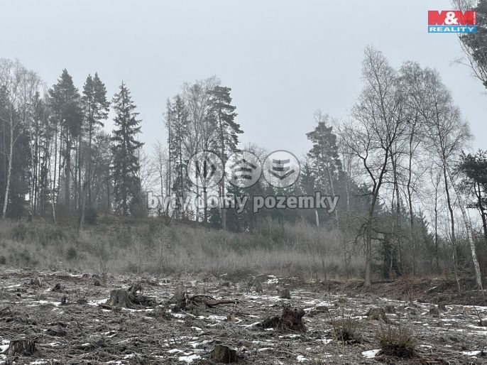 Prodej, Les, Pecka