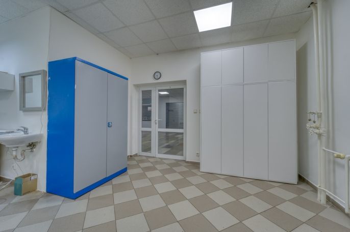 Pronájem, Obchod a služby, Třemošná