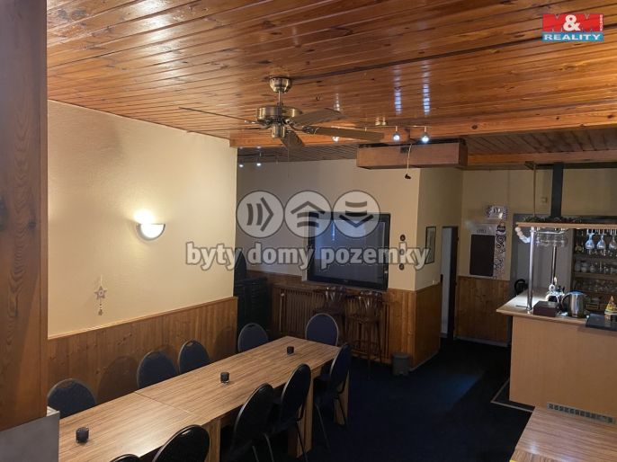 Pronájem, Obchod a služby, Opočno