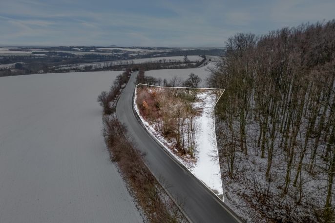 Prodej, Zahrada, Pchery