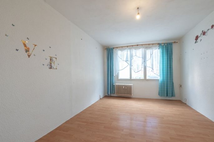 Prodej, Byt 2+1, Bor