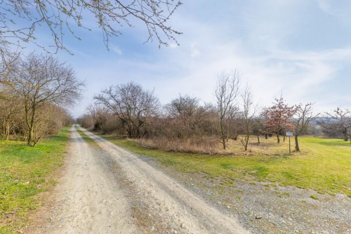 Prodej, Ovocný sad, Želešice