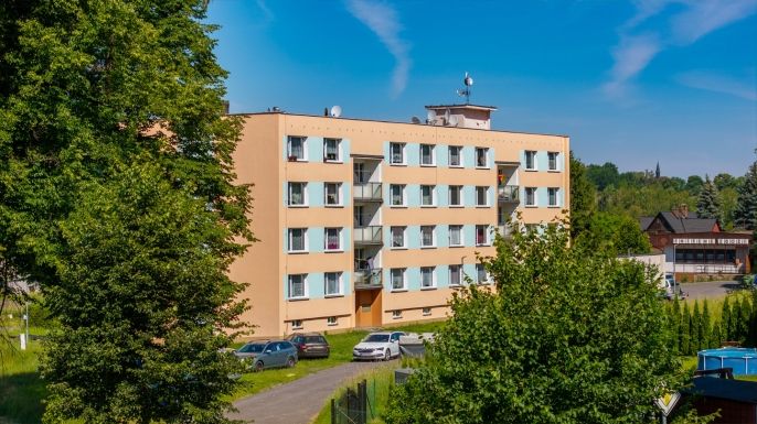 Prodej, Byt 2+1, Černousy